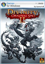 Divinity Original Sin 2 Definitive Edition PC